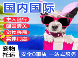 大水泊航空快运国际宠物托运 【国
